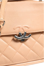 Chanel Goatskin Quilted Small CC Box Flap Bag Chanel