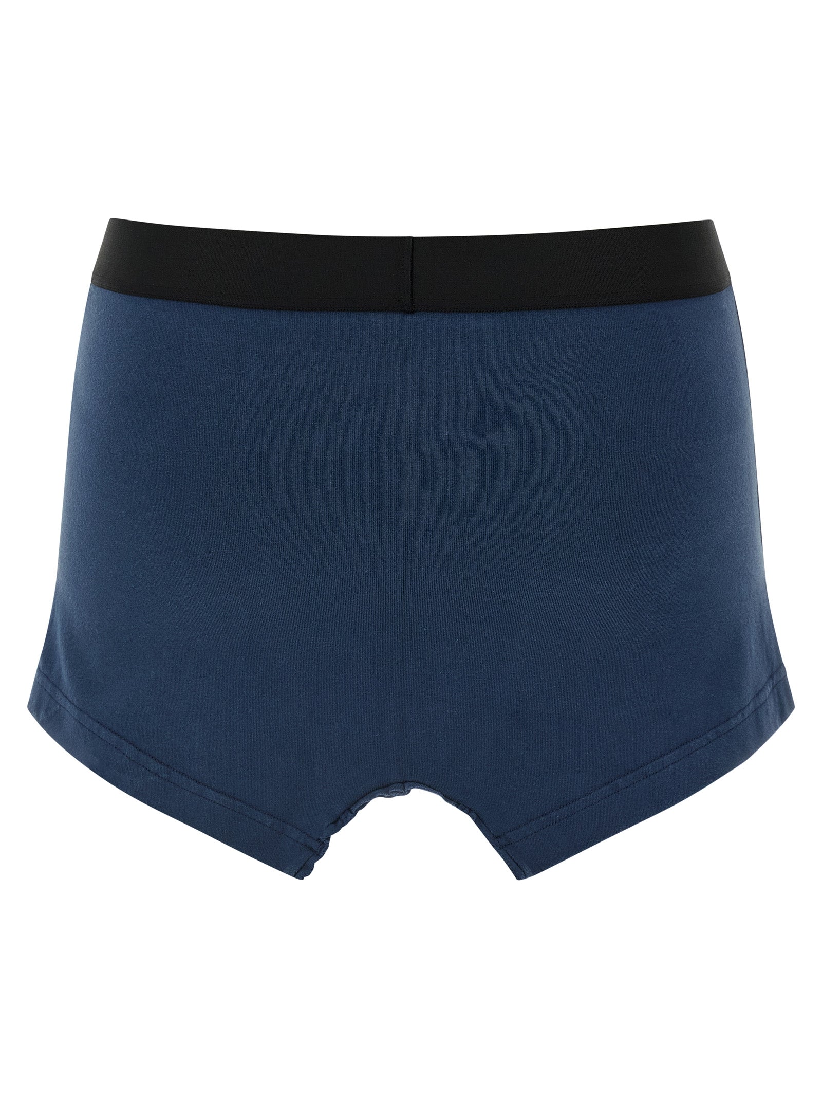 Balenciaga Blue Cotton Long Skirt Balenciaga