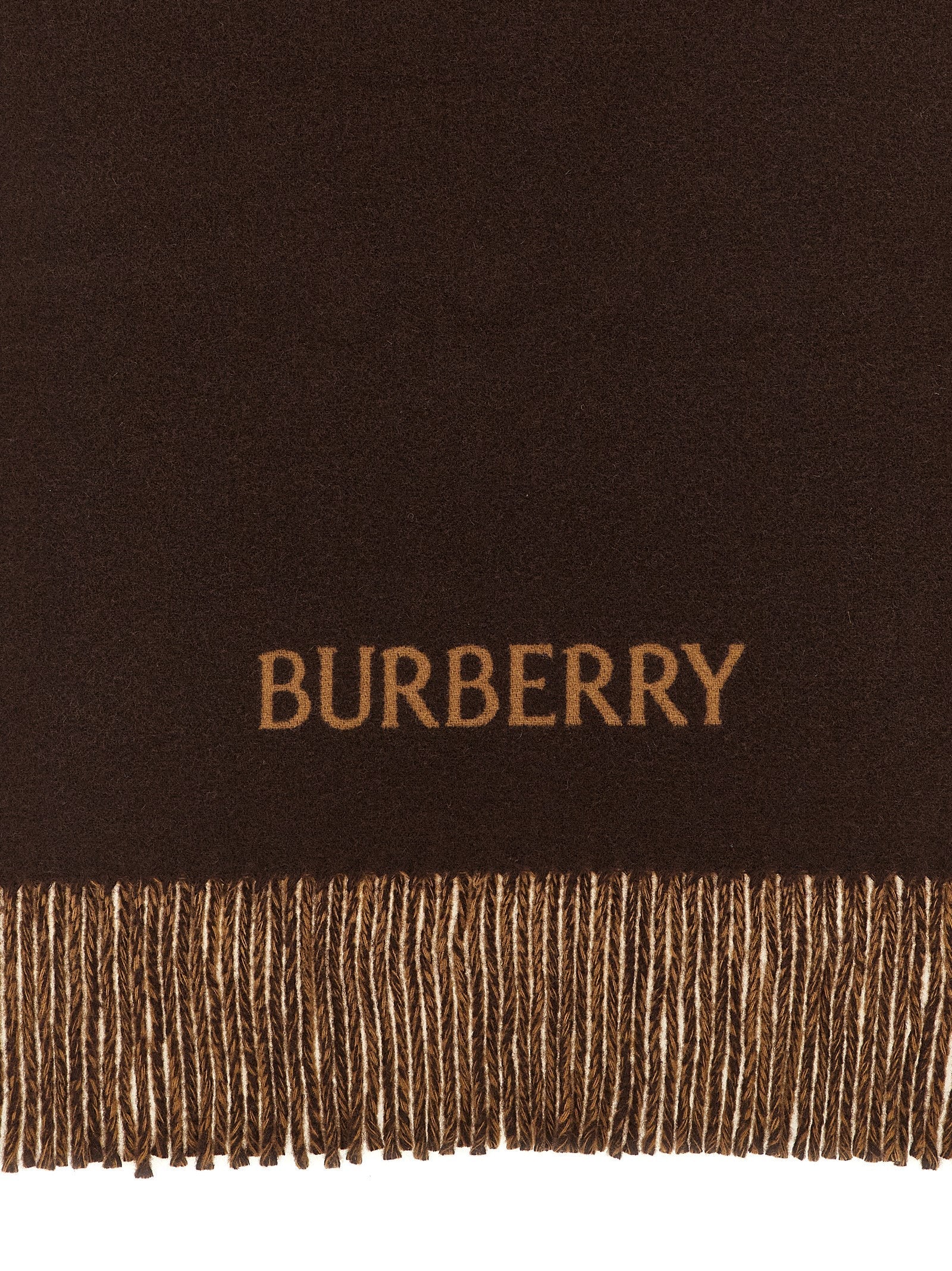 Burberry Multicolor Cashmere Scarf Burberry