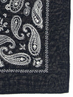 Polo Ralph Lauren Blue Cotton Foulard Polo Ralph Lauren