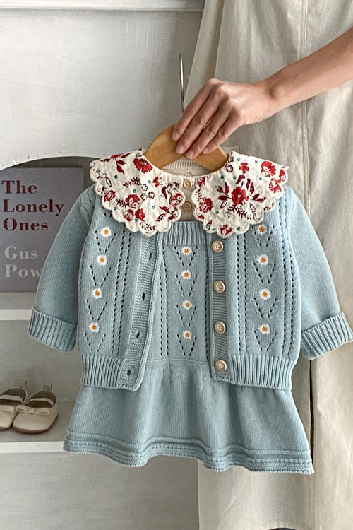 Light blue dress with floral collar on a wooden hanger against a neutral background